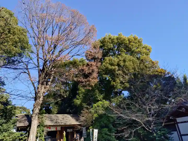 阿佐ヶ谷神明宮(東京都)
