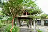 道智山 遍照院の山門・神門