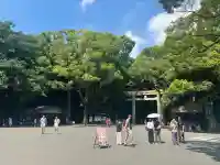 明治神宮(東京都)