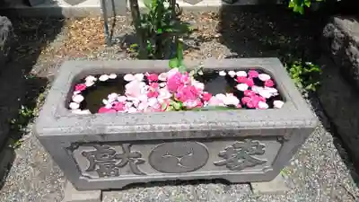 元町厳島神社の手水舎