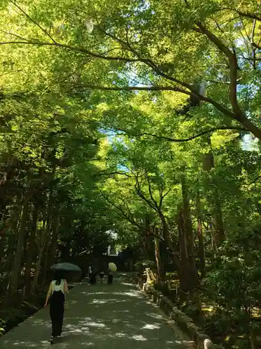 龍安寺(京都府)