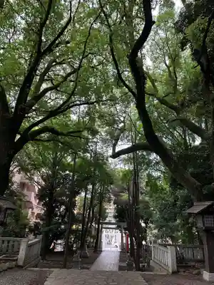 洲崎大神(神奈川県)
