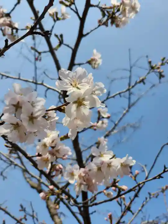 女化神社(茨城県)