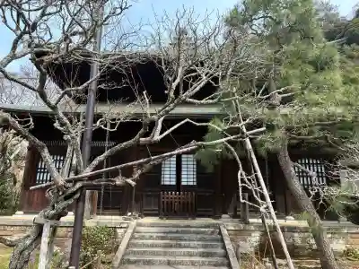 瑞泉寺の{uncategorized: "未分類", other: "その他", undefined: "問題あり", building: "その他建物", grave: "お墓", sacred_gate: "鳥居", guardian: "狛犬", statue: "像", buddha: "仏像", history: "歴史", nature: "自然", garden: "庭園", animal: "動物", pagoda: "塔", temizu: "手水舎", mountain_gate: "山門・神門", sanctuary: "本殿・本堂", subordinate: "末社・摂社", art: "芸術", scenery: "景色", jizo: "地蔵", ema: "絵馬", goshuin: "御朱印", omikuji: "おみくじ", items: "授与品その他", amulet: "お守り", goshuincho: "御朱印帳", eats: "食事", festival: "お祭り", votive_dance: "神楽", shichigosan: "七五三参", wedding: "結婚式", experience: "体験その他", initially: "初詣", around: "周辺", anti_infection: "感染症対策"}