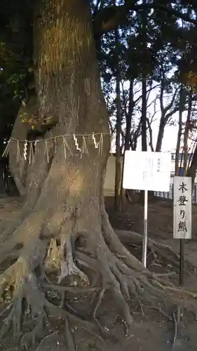 静神社の自然