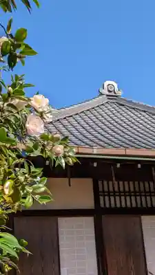 霊鑑寺門跡(京都府)