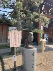 射楯兵主神社(兵庫県)