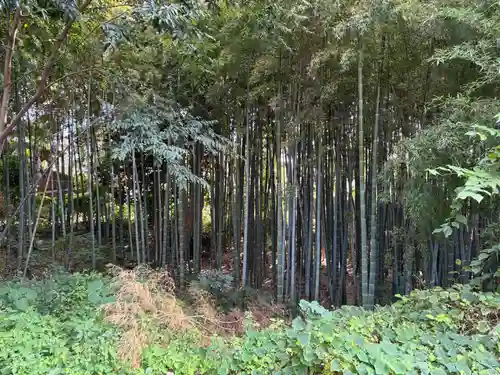 正法寺(千葉県)