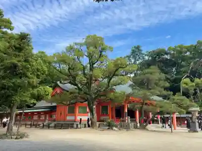 住吉神社の{uncategorized: "未分類", other: "その他", undefined: "問題あり", building: "その他建物", grave: "お墓", sacred_gate: "鳥居", guardian: "狛犬", statue: "像", buddha: "仏像", history: "歴史", nature: "自然", garden: "庭園", animal: "動物", pagoda: "塔", temizu: "手水舎", mountain_gate: "山門・神門", sanctuary: "本殿・本堂", subordinate: "末社・摂社", art: "芸術", scenery: "景色", jizo: "地蔵", ema: "絵馬", goshuin: "御朱印", omikuji: "おみくじ", items: "授与品その他", amulet: "お守り", goshuincho: "御朱印帳", eats: "食事", festival: "お祭り", votive_dance: "神楽", shichigosan: "七五三参", wedding: "結婚式", experience: "体験その他", initially: "初詣", around: "周辺", anti_infection: "感染症対策"}