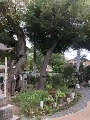 水堂須佐男神社の自然