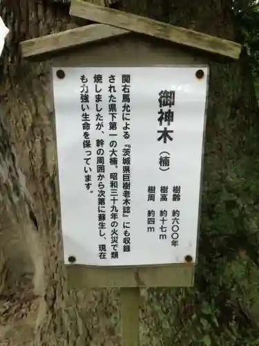 常陸國總社宮のその他建物