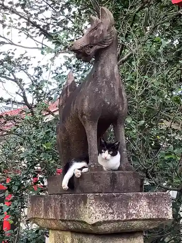 天王坊稲荷神社の動物