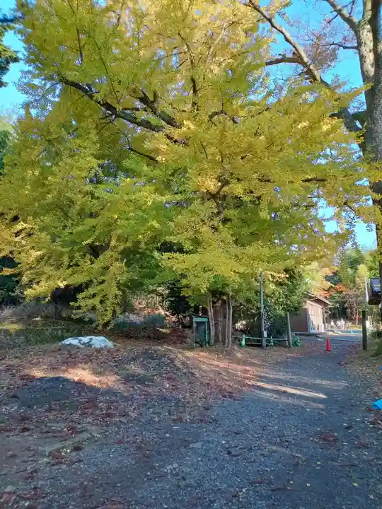 松尾寺(京都府)