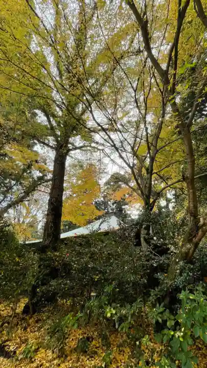 岩湧寺(大阪府)