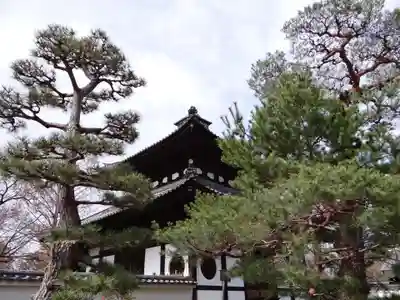 東福禅寺(東福寺)(京都府)