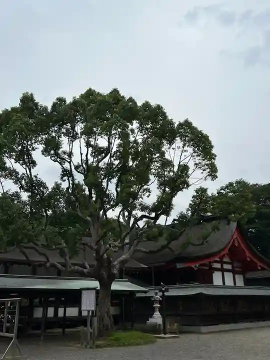 宗像大社(福岡県)