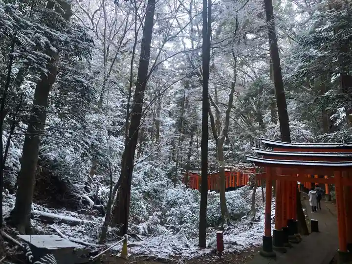 伏見稲荷大社の鳥居