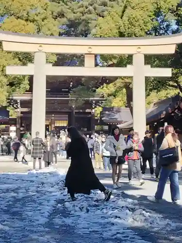 明治神宮(東京都)