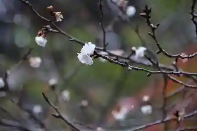 開成山大神宮の庭園