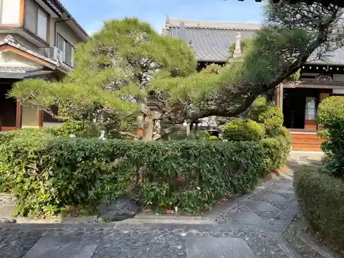 長寿院(京都府)