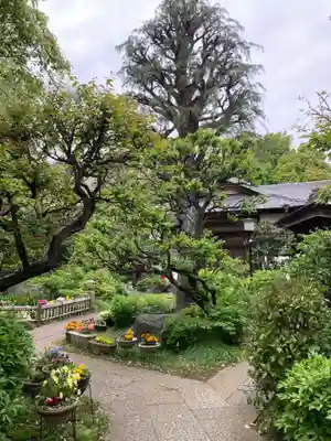 薬王寺(神奈川県)