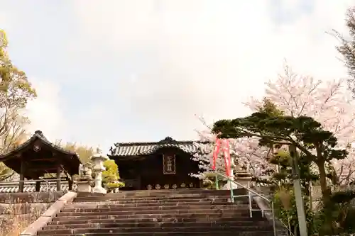 松山神社(愛媛県)