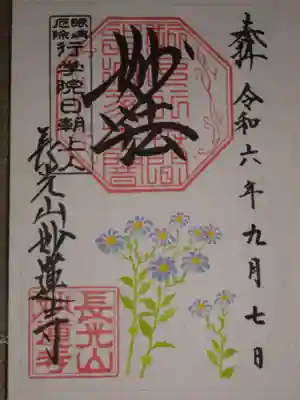 御朱印　オオユウガギク