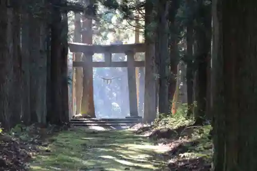 隠津島神社の鳥居