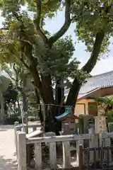 素盞嗚尊神社（江坂神社）(大阪府)