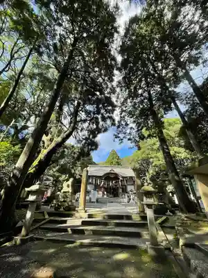 東大野八幡神社の本殿・本堂