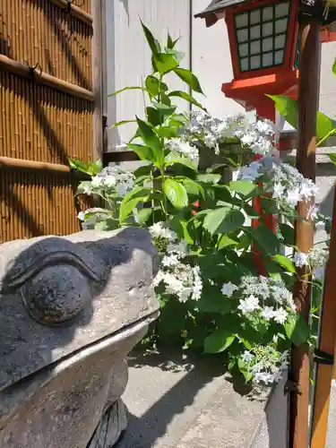 十番稲荷神社の自然