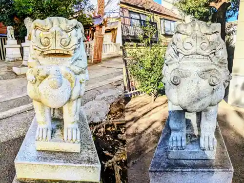 滝野川八幡神社の狛犬