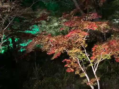 円通寺(栃木県)