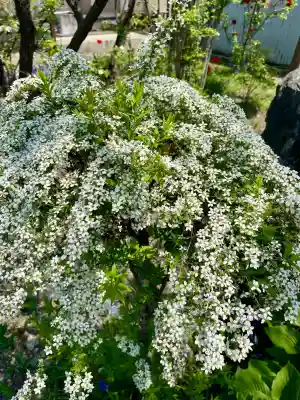 蓮華寺(福島県)