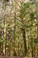 相峰神社(愛媛県)