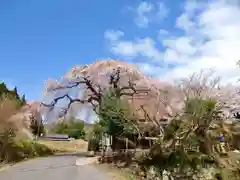 西光寺(奈良県)