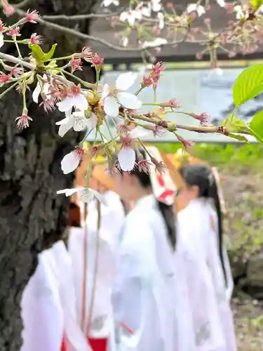 山家神社の神楽