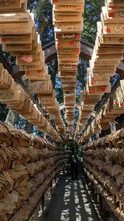 川越氷川神社(埼玉県)