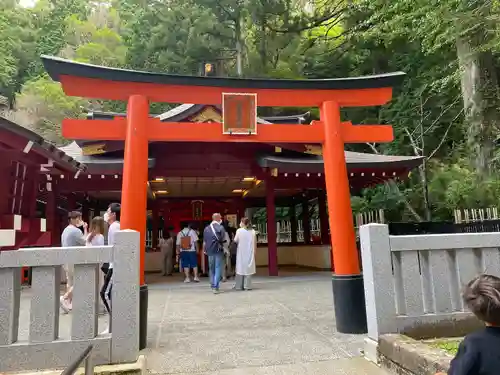 箱根神社の鳥居