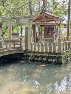 伊和神社の{uncategorized: "未分類", other: "その他", undefined: "問題あり", building: "その他建物", grave: "お墓", sacred_gate: "鳥居", guardian: "狛犬", statue: "像", buddha: "仏像", history: "歴史", nature: "自然", garden: "庭園", animal: "動物", pagoda: "塔", temizu: "手水舎", mountain_gate: "山門・神門", sanctuary: "本殿・本堂", subordinate: "末社・摂社", art: "芸術", scenery: "景色", jizo: "地蔵", ema: "絵馬", goshuin: "御朱印", omikuji: "おみくじ", items: "授与品その他", amulet: "お守り", goshuincho: "御朱印帳", eats: "食事", festival: "お祭り", votive_dance: "神楽", shichigosan: "七五三参", wedding: "結婚式", experience: "体験その他", initially: "初詣", around: "周辺", anti_infection: "感染症対策"}