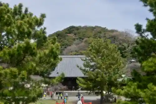 稱名寺（称名寺）(神奈川県)