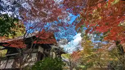 十輪寺(京都府)