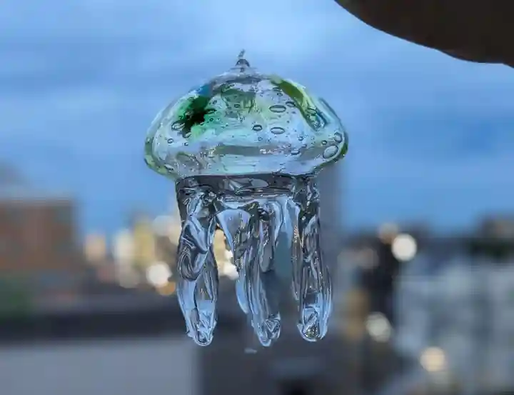 白山神社(新潟県)