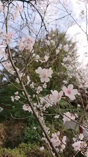 冠稲荷神社の自然