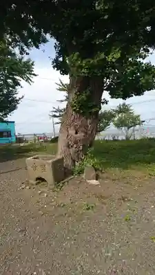 大祐神社(青森県)