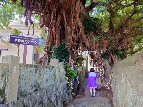 奈良尾神社の自然