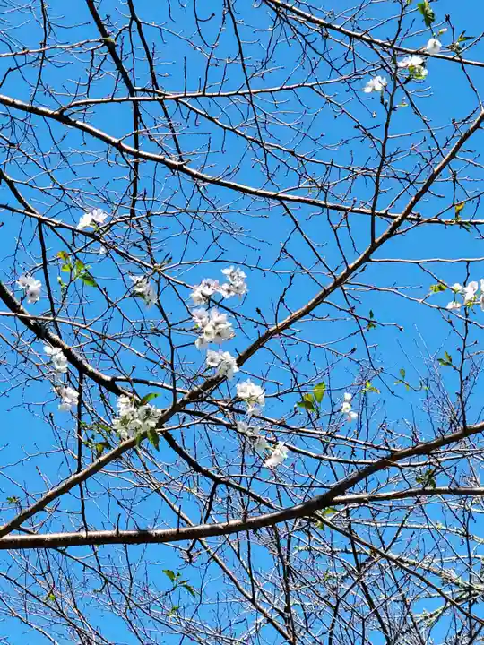 天宮神社(静岡県)