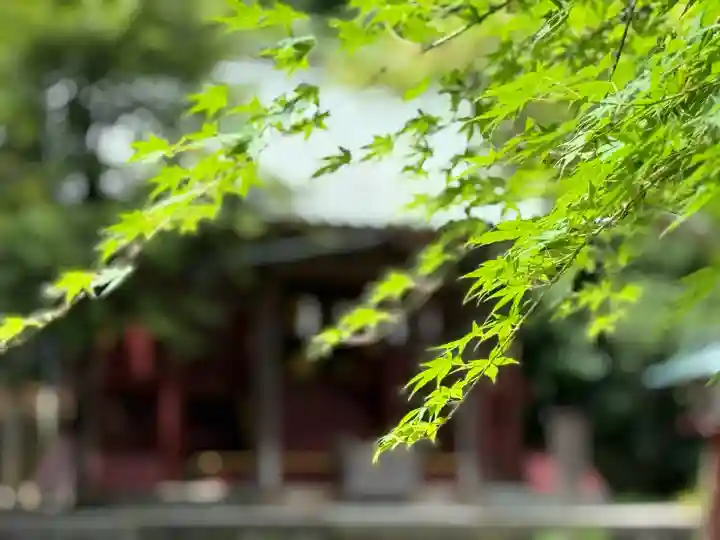 武蔵一宮氷川神社(埼玉県)