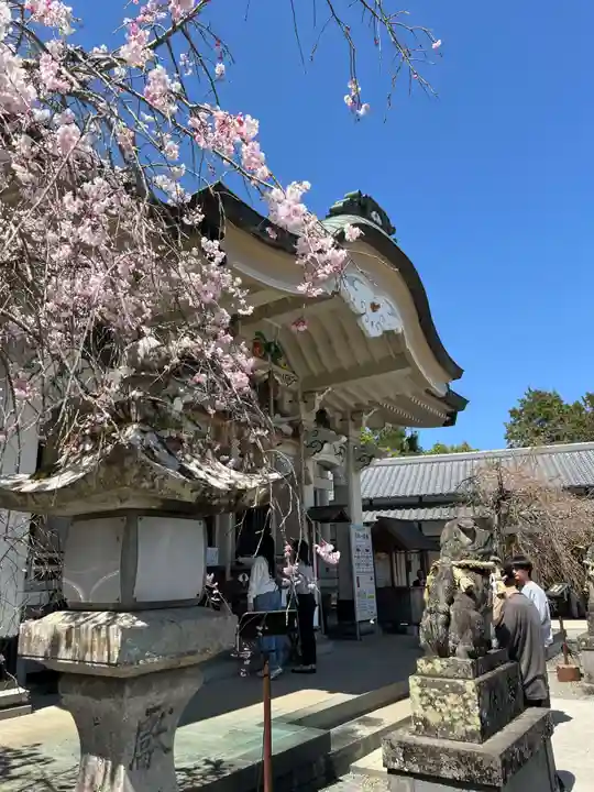 武雄神社(佐賀県)