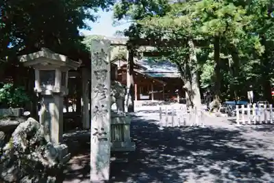 猿田彦神社の鳥居